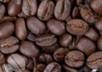send you 20 coffee drop shippers/distributors