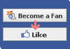 show you how to get unlimited LIKES by driving 100,000 unique and targeted visitors to your facebook page