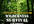 sell 32 Wilderness Survival Guides Plus Resale Rights Complete Training Skills Tips and Tactics 2012 Edition