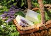 send You a Bar of Organic Hemp Soap small1