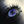 indigomoon