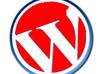 fix your wordpress blog or website errors or issues