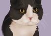 do a digital painting your cat small1