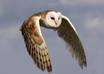 help you to setup Hootsuite