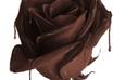 send you an ebook containing 100 yummiest dark chocolate recipe small1