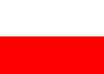 translate a text up to 400 words from English to Polish