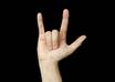 teach you 10 signs in American Sign Language small1