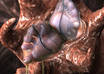 allow you access to the most amazing and specialized art gallery