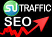 send 1,000 StumbleUpon Real Traffic to your website, close to 99 percent Unique IPs, guarantee to increase you Alexa ranking