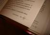 write professional article in italian language small1