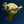seirf_stuff