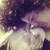 enchantedphotos