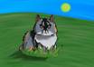 Cat gigs