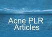 give you 570+ High Quality Acne PLR Articles + Content Rewriter Software