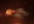 design a fire in hell video TRAILER best to promote hot marketing testimonials