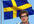 answer 11 questions about Sweden