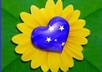 teach you brazilian portuguese small1