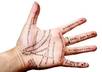 read your Palms and tell you the future includes a free followup session small1