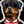 topdogbidz