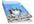 show You Secret Twitter Techniques To Earn Hundreds of Dollars Every Day