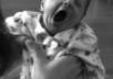 teach you the Basics of Newborn Baby Care small1