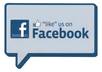 get you 50 REAL Facebook fan page Likes in 24 hours small1