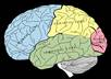 answer your general psychology question
