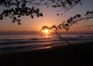 give you the BEST travel advice on fiverr for your trip to Costa Rica small1