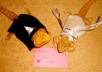 take a picture of my bearded dragons in a bridal gown and tux with your message small1