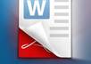 convert your PDF to Ms Word up to 100 pages in 24 hours or less small1