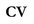 write professional cover letter